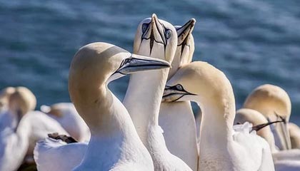 开云-川超成都队大名单以“00”后为主 最大37岁最小18岁|阿刁喜欢看球